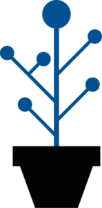 Digital-Business-Development