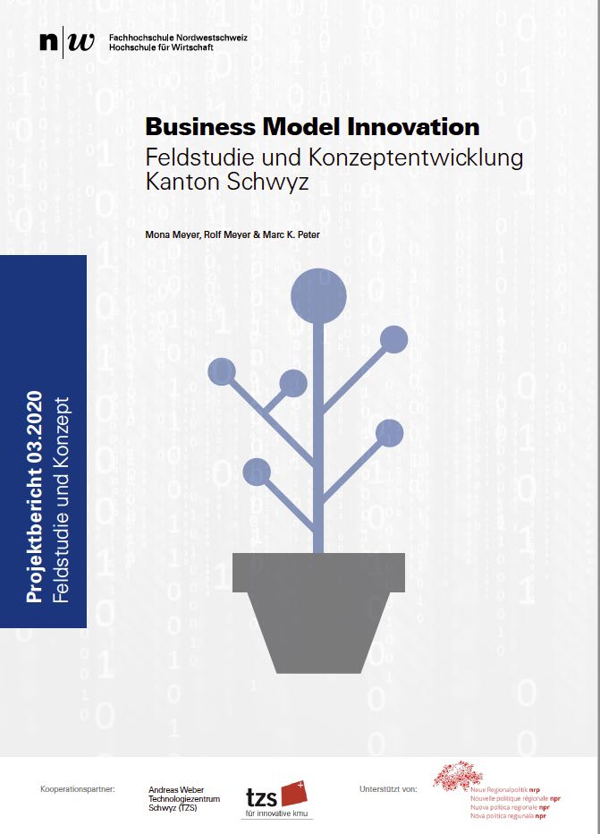 Business Model Innovation: Feldstudie und Konzeptentwicklung Kanton Schwyz