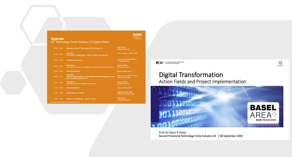 Digital Transformation: Action Fields and Project Implementation